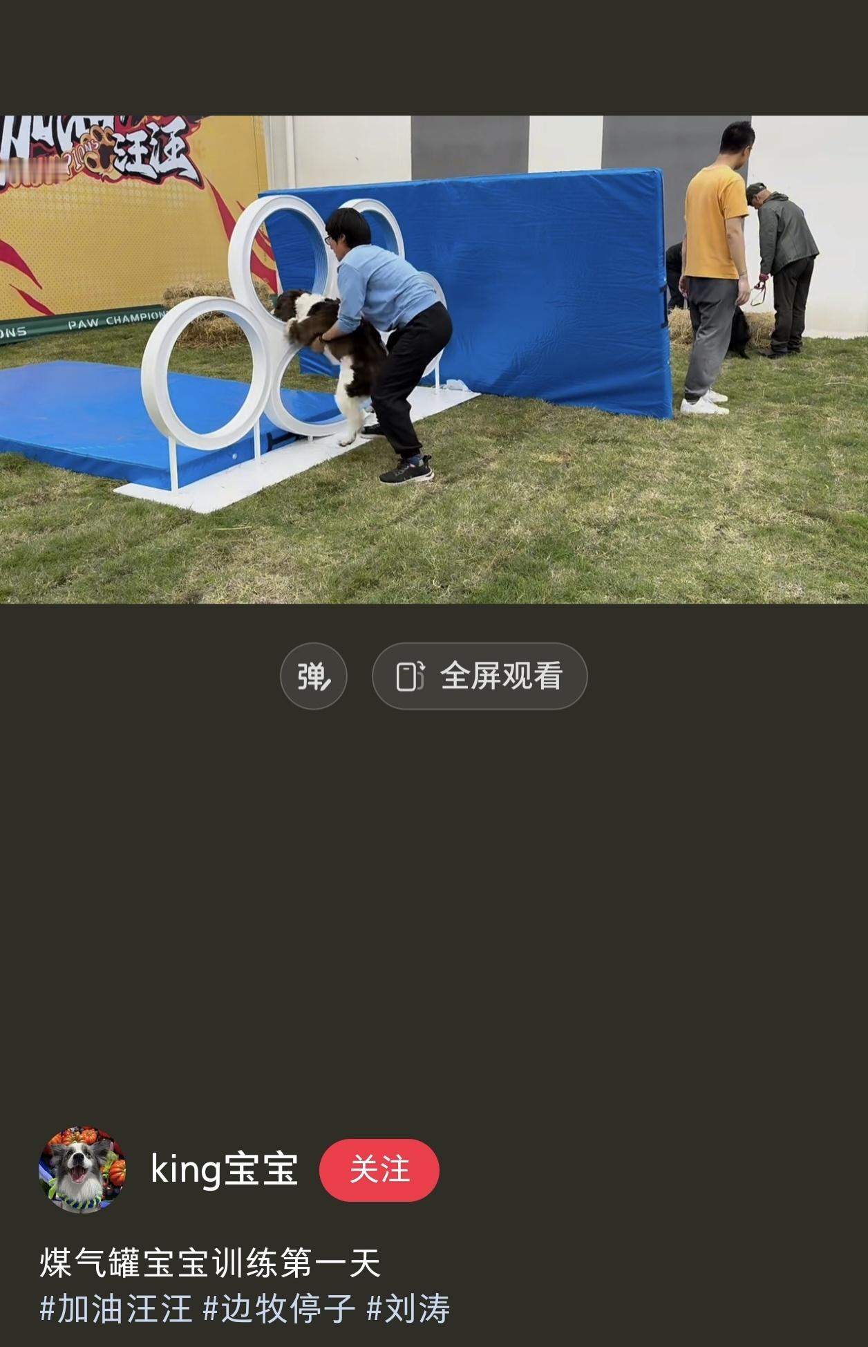 哈哈哈哈哈哈哈煤气罐宝宝查理的新外号再看刘涛取的银幕小霸王更……哈哈哈哈哈哈哈