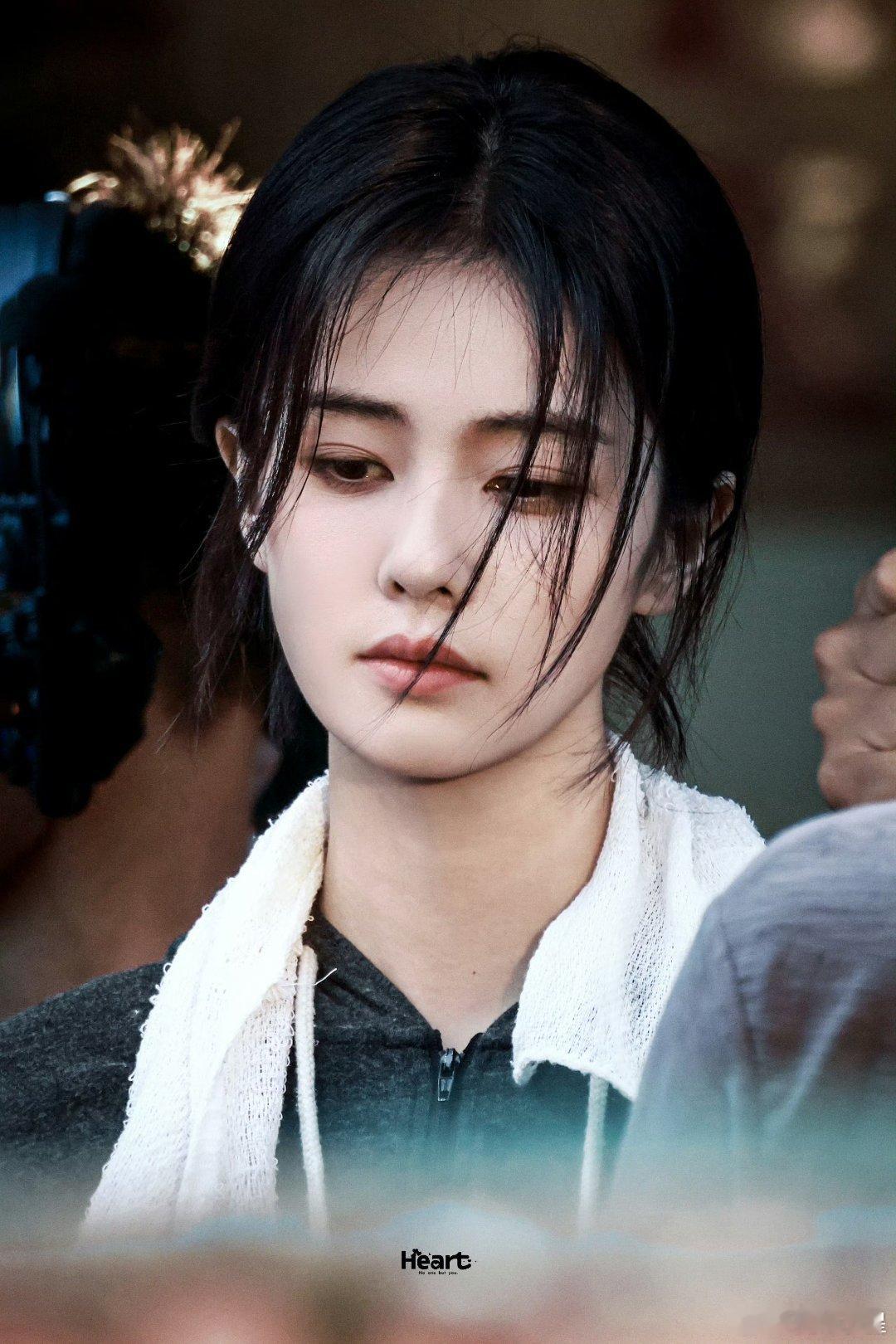 白鹿《开到荼蘼》开拍25天🐧预约量破20万抖🎶播放量破7亿，长期登上🍠热点