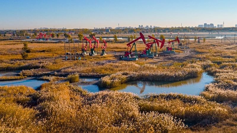 国运自有它的护法
日本当年在东北疯狂找油，打井像在筛沙子一样，一口接一口地往下钻