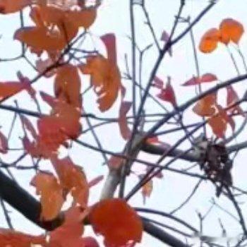 阳光信用 学会以简单对复杂，以纯净对喧嚣，享受蓝天白云的惬意，欣赏一花一草的灵动