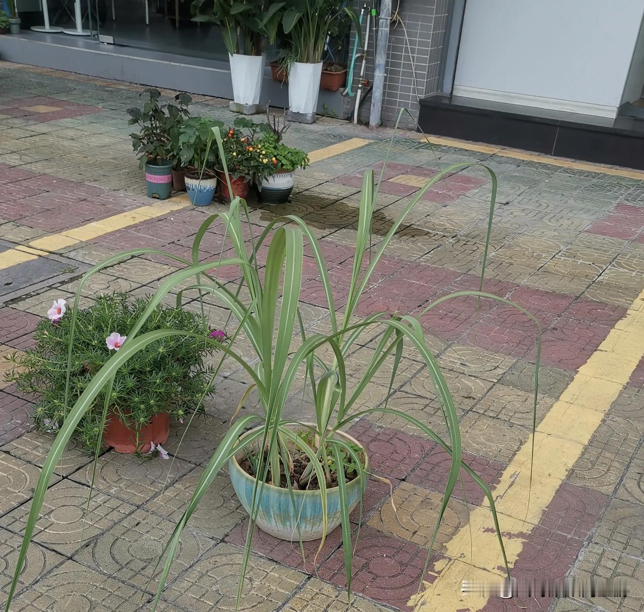 今天，站街