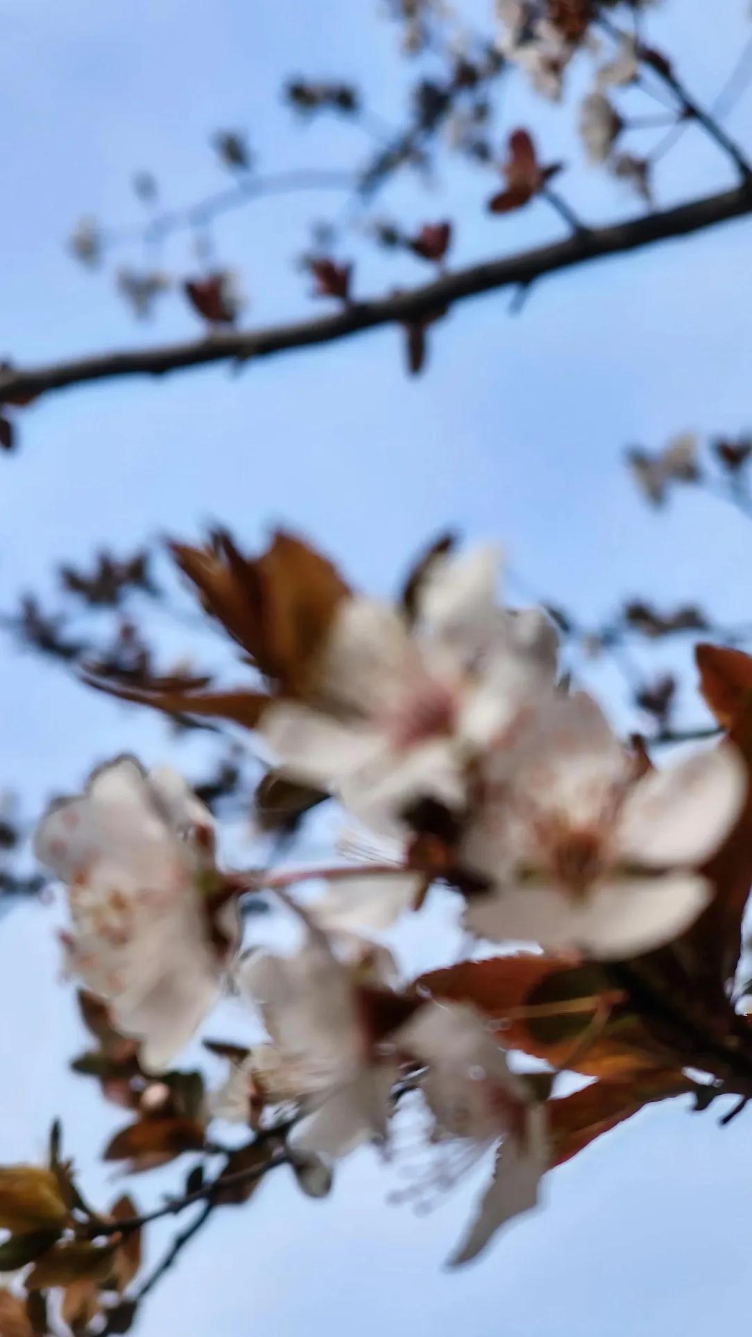秀莲找工作屡屡受挫，她却并未气馁，她决定先学会骑电瓶车， 然后再去工作 ，要是在