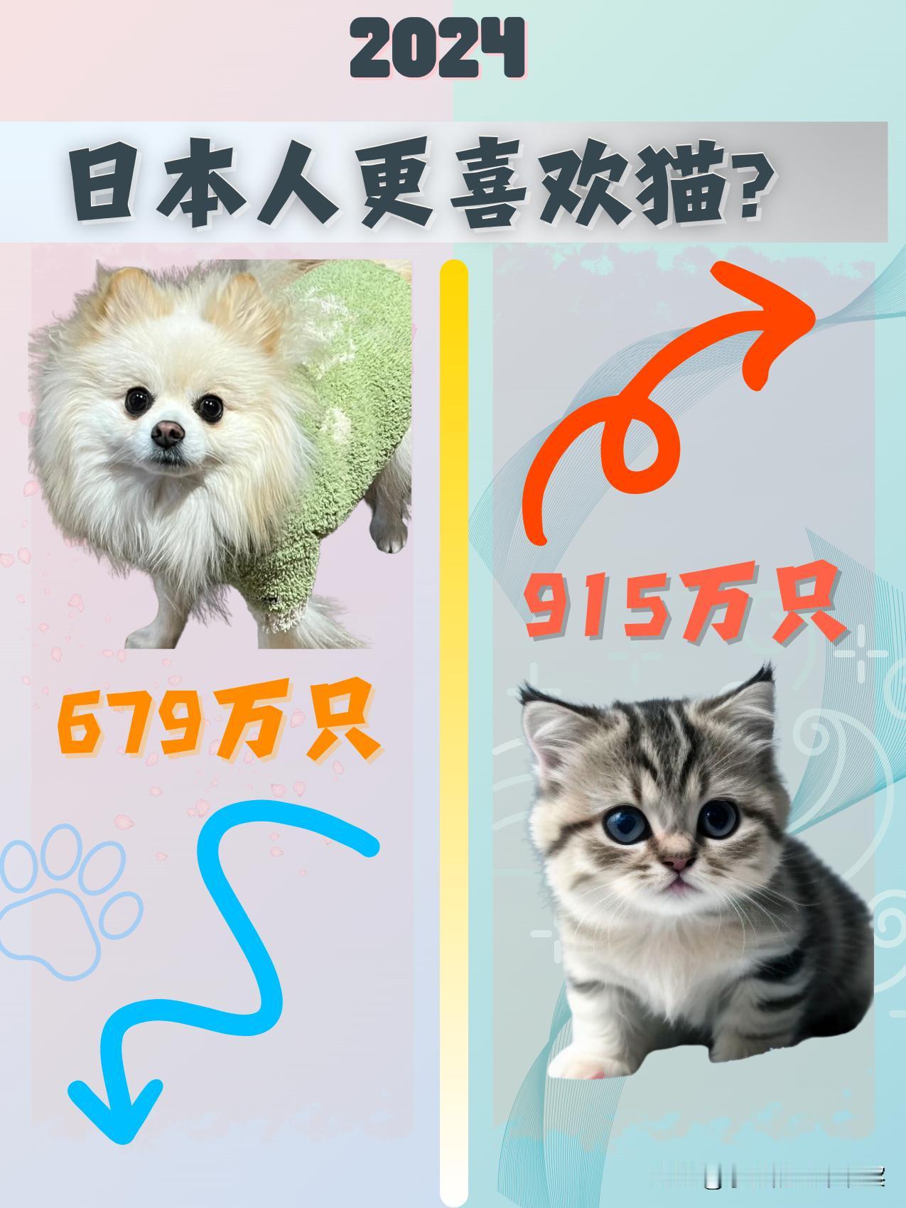 日本宠物食品协会最新数据，日本猫的饲养数量达915万只，比去年增加8.6万只；而