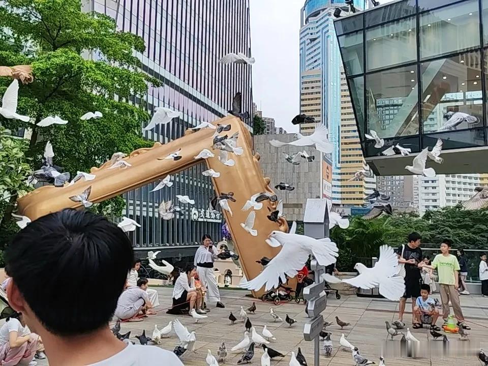 《春天的和平鸽》

春风解开了冰封的琴弦，
万物都在暖意中苏醒过来。
和平鸽抖落