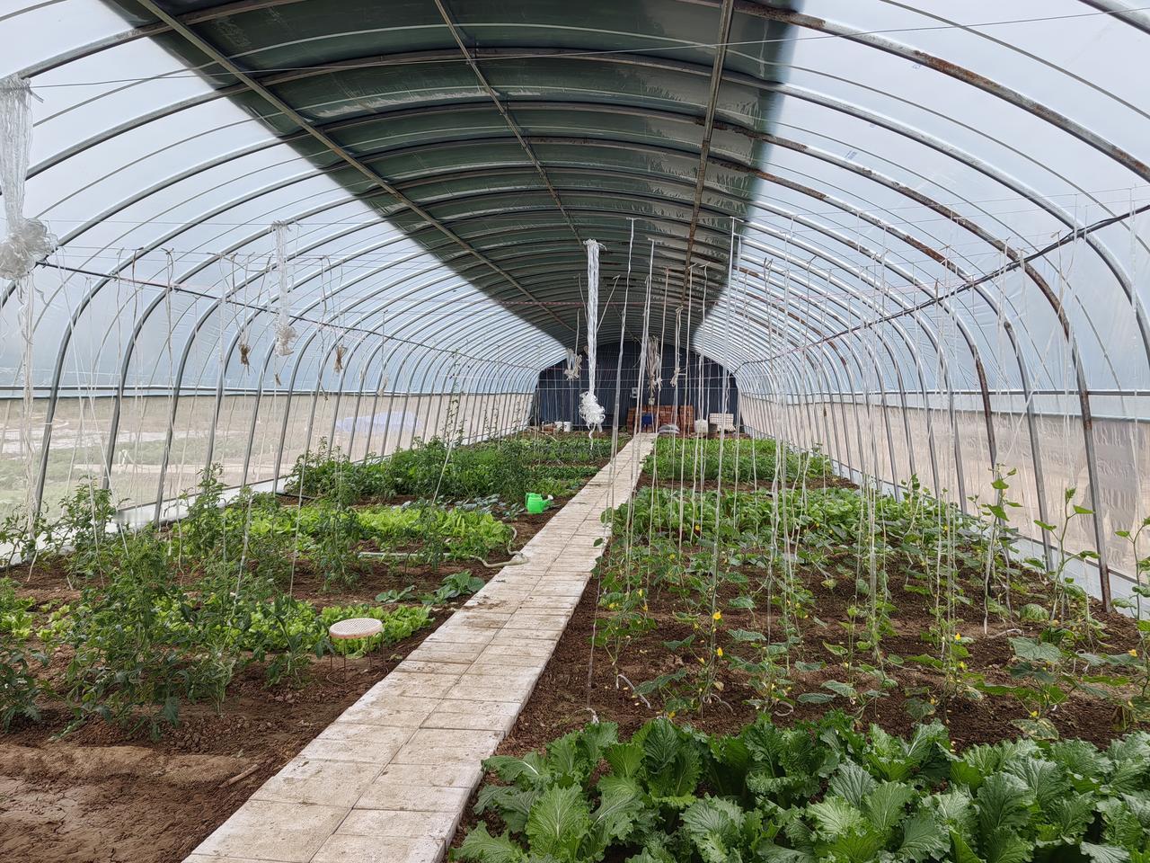 人老了到底选择怎样的生活呢？

我是一个农村打工仔，我经常思考一个问题一旦我在工