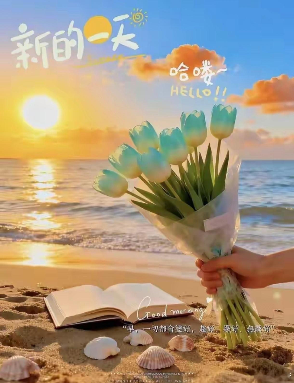 MORNING不焦虑，不躺平，不内耗，热爱生活，向光而行。早上好，美好的一天正在