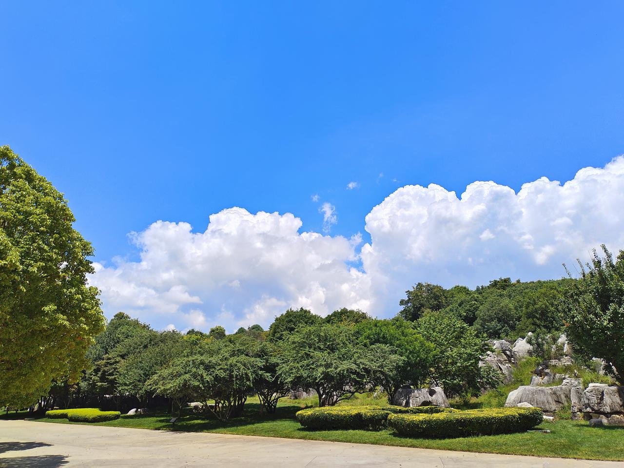 春日生活打卡季