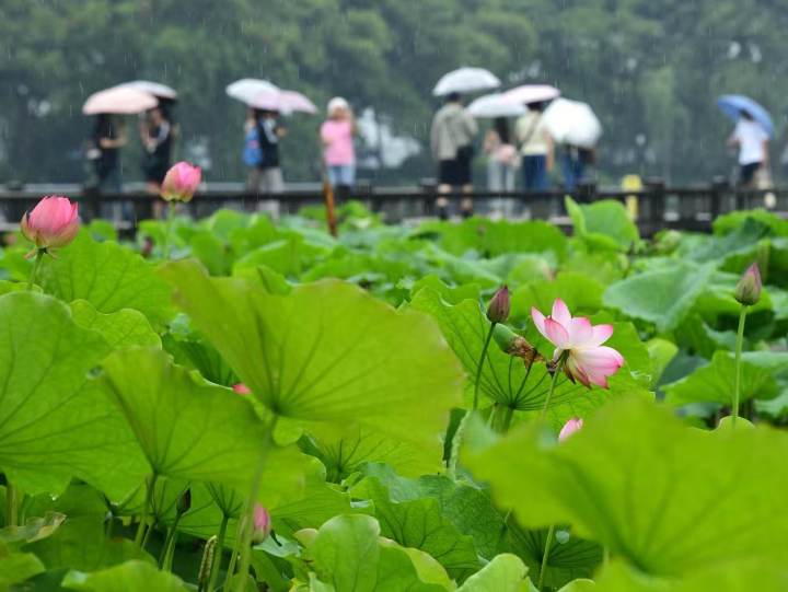 梅雨小试牛刀，更强、更猛的梅雨下周到来，今年出梅时间也可能偏晚？