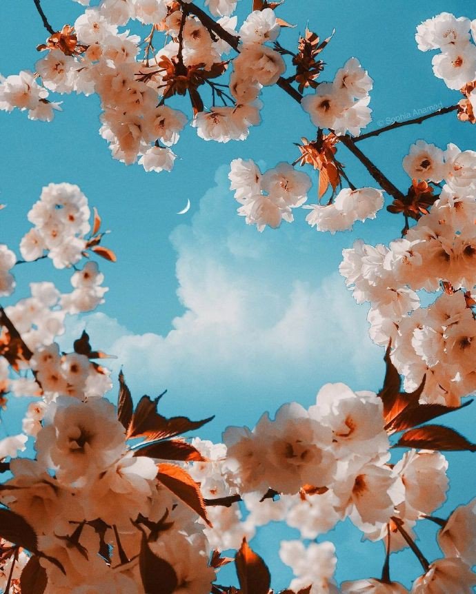 你不在，我也过得很好，可是这不代表你不重要。——书海苍生《十年一品温如言》