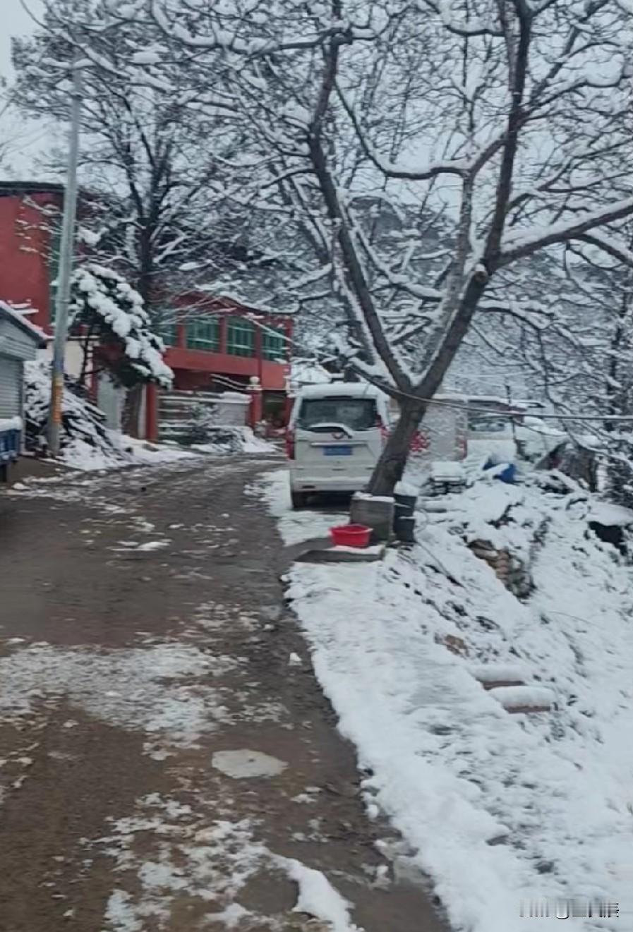 下雪啦，寺河山上下雪啦，11月16号晚上的一场大雪让寺河山变成了一片银色的天地，