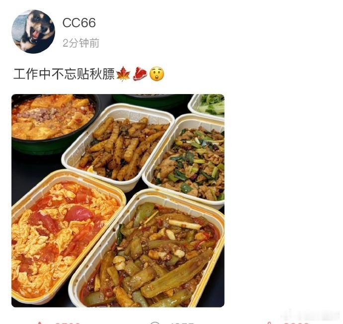 马嘉祺下午两点才吃饭马嘉祺演唱会刚结束又工作了 马嘉祺演唱会刚结束又工作了，下午