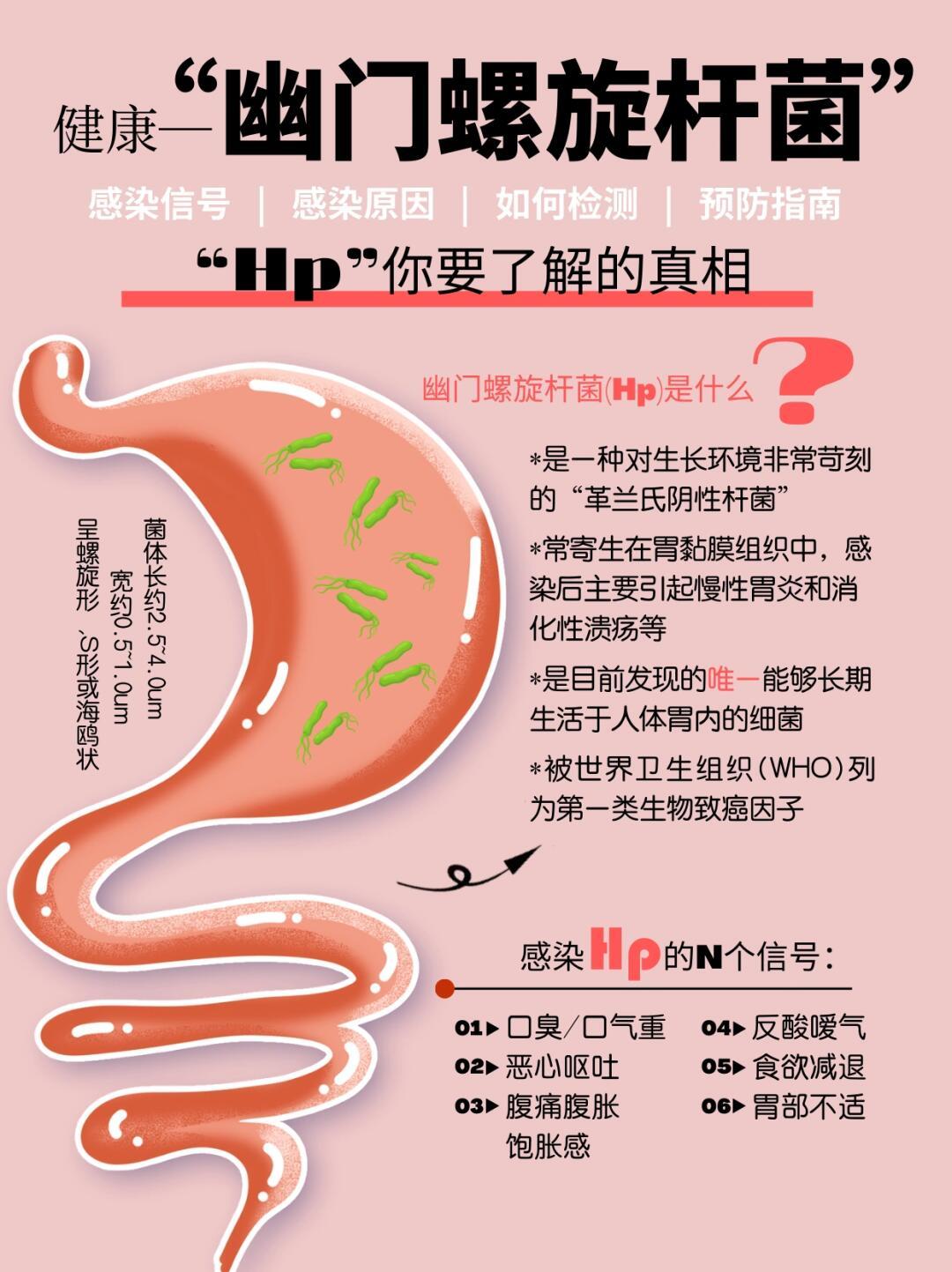 胃的求救信号🆘幽门螺旋杆菌你要了解的真相🔍幽门螺旋杆菌(Hp)是什么？👉?