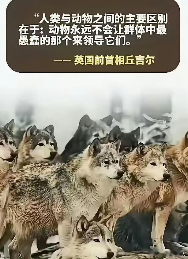 转给日本朋友看看，美国先不要转了，最近这几天中美热度挺高。俄罗斯和乌克兰都不能转