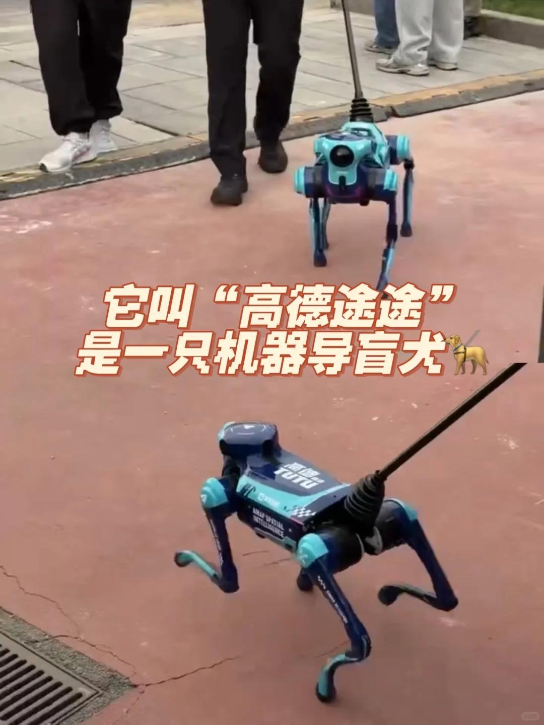 【亦庄马拉松惊现高德机器狗，来自阿里】
 
 家人们！今天去亦庄看机器人半马，直