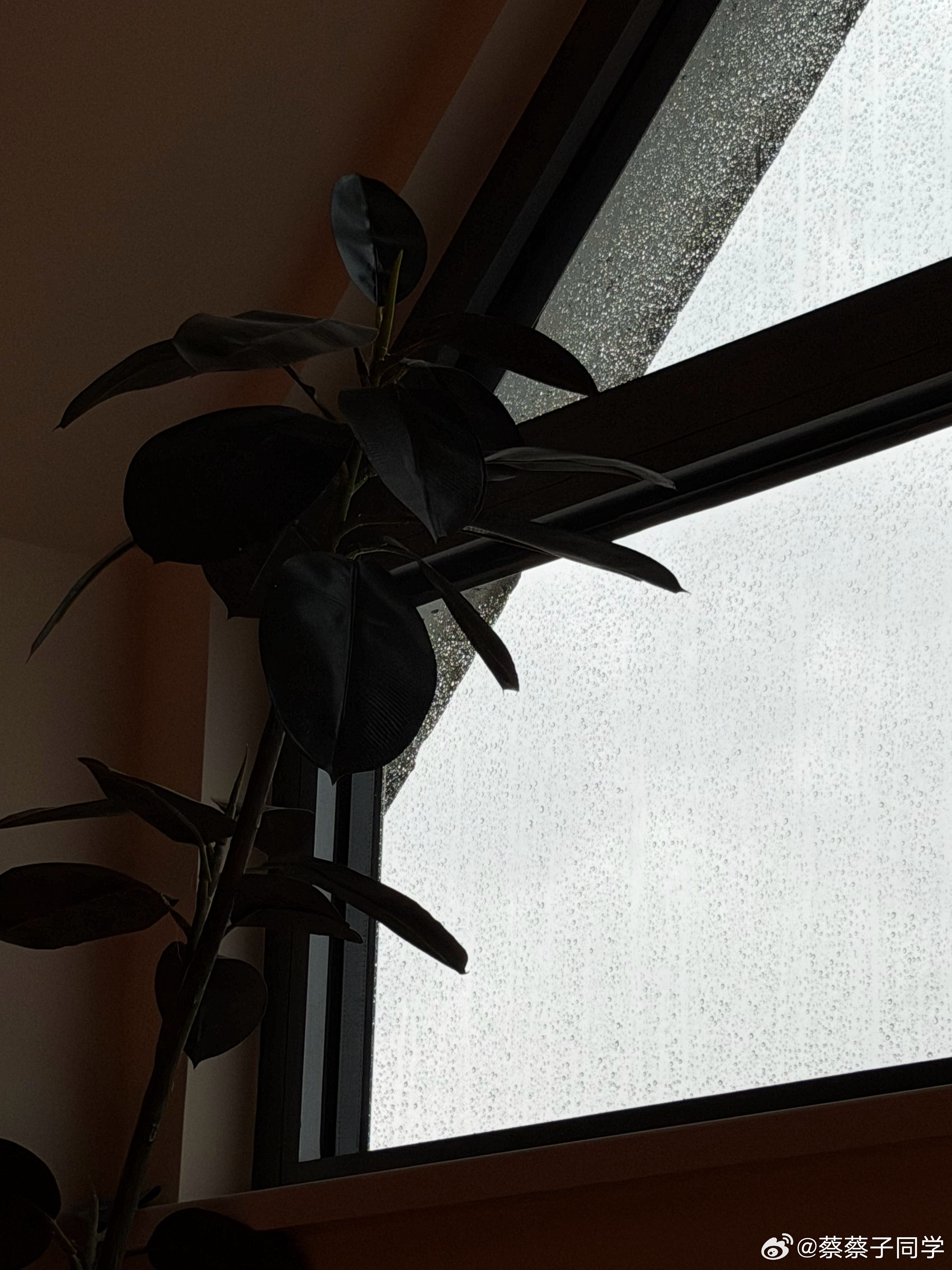 好爽呀 如同汗蒸房的北京终于下雨了渐暗的光线和滴滴答答的声音好像更适合创作 趁着