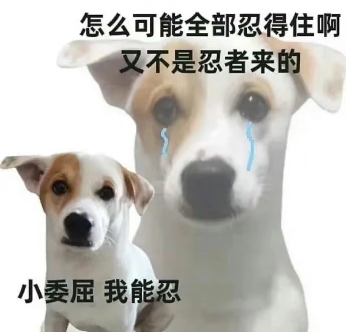 只要选择了整牙，保持器一定会永远跟着你的，要不然你就有可能会面临再次变形或者是二