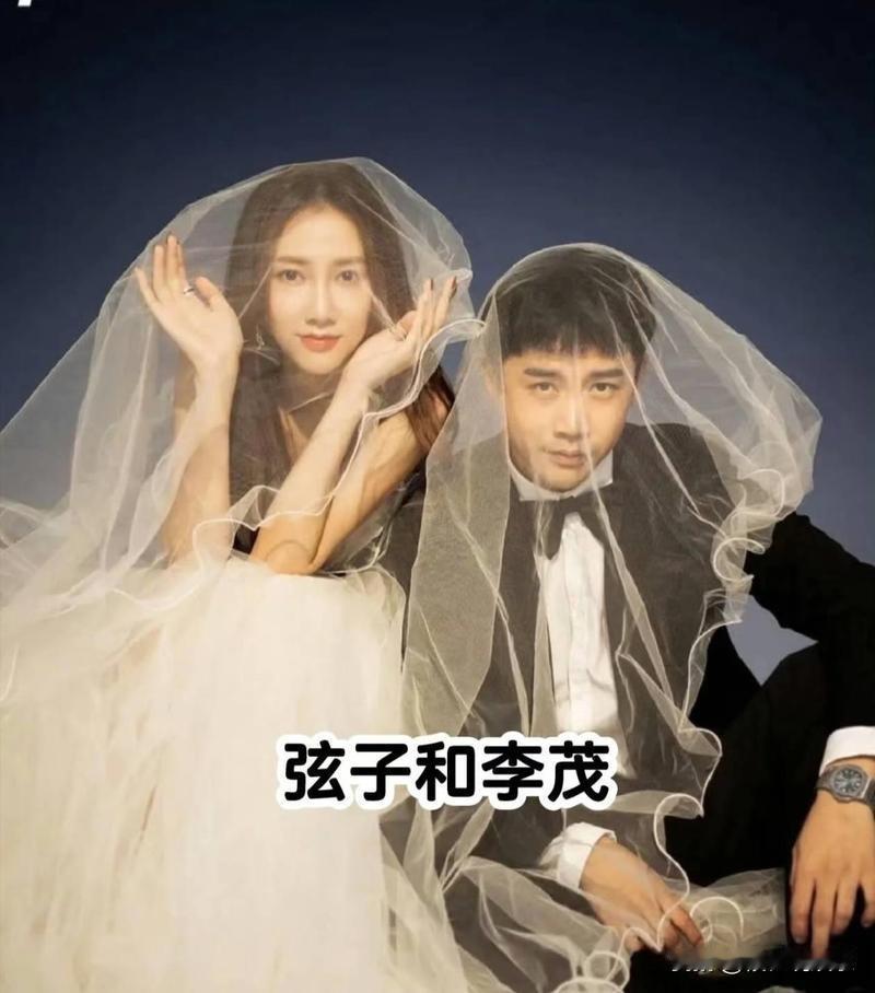 李茂弦子迪拜遇导弹袭击太惊魂
李茂和弦子均为中国内地歌手、演员，是娱乐圈知名的艺