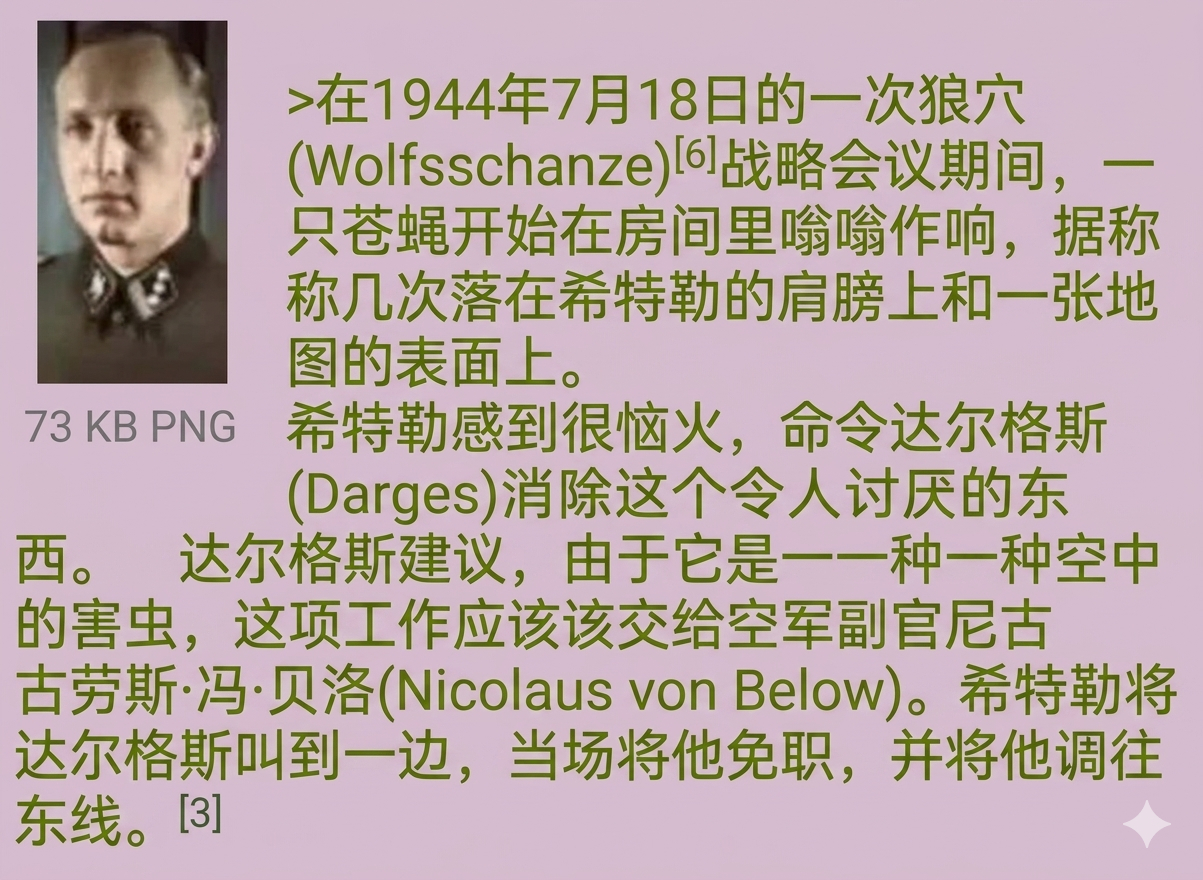 【被希特勒扼杀的德式幽默：戈林说带翅膀的都归他这个空军司令管】后续：如果达尔格斯