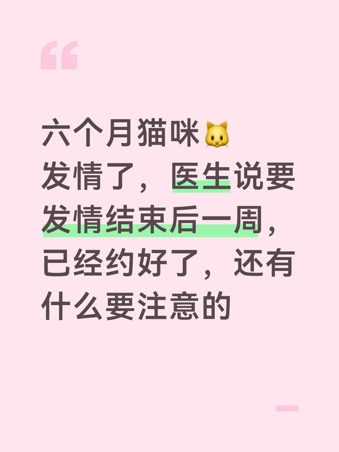 猫咪绝育注意事项
