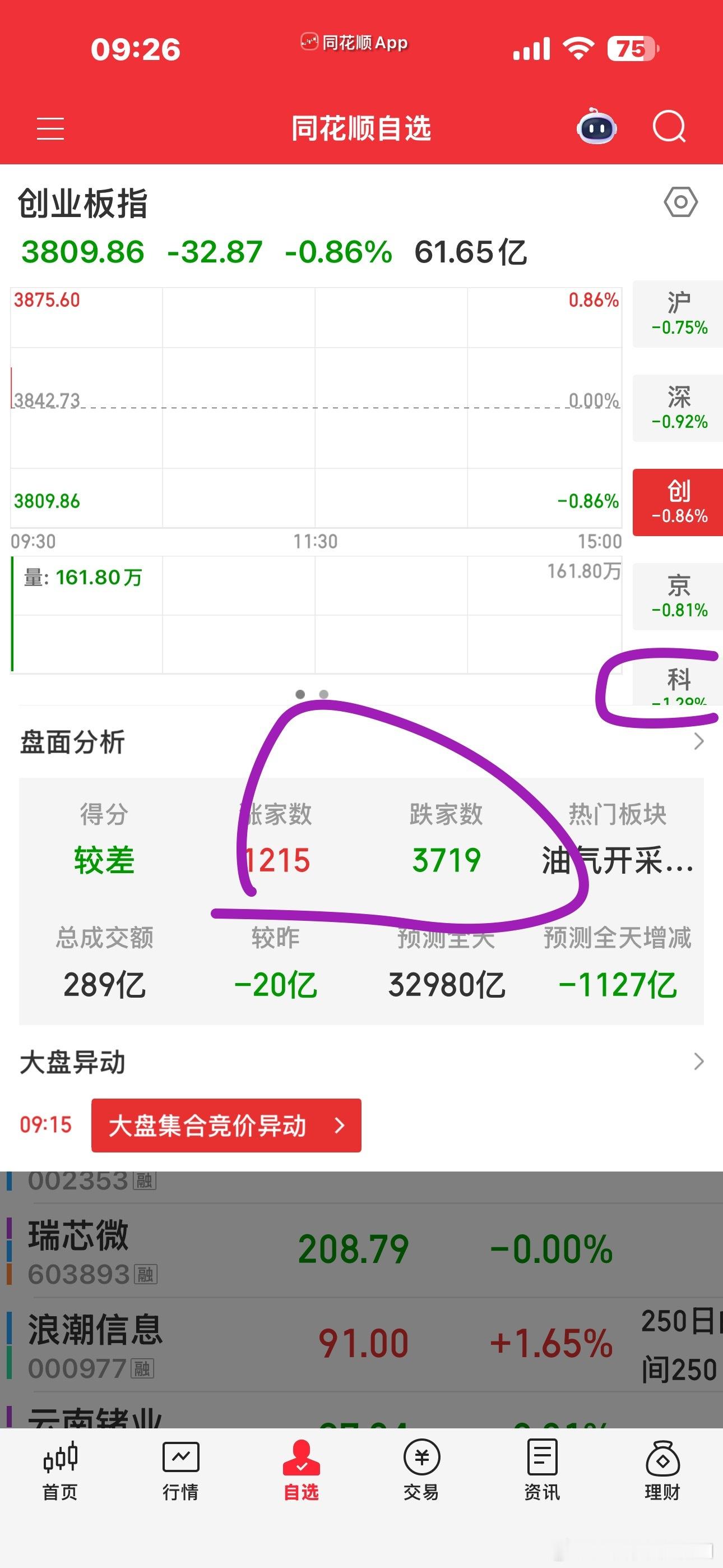 全线低开，只有大象是红的看看有哪些板块能够走出来的 