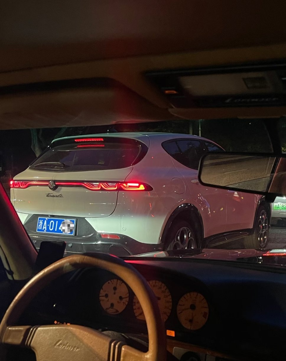 这才是真正的稀有物种。大v聊车