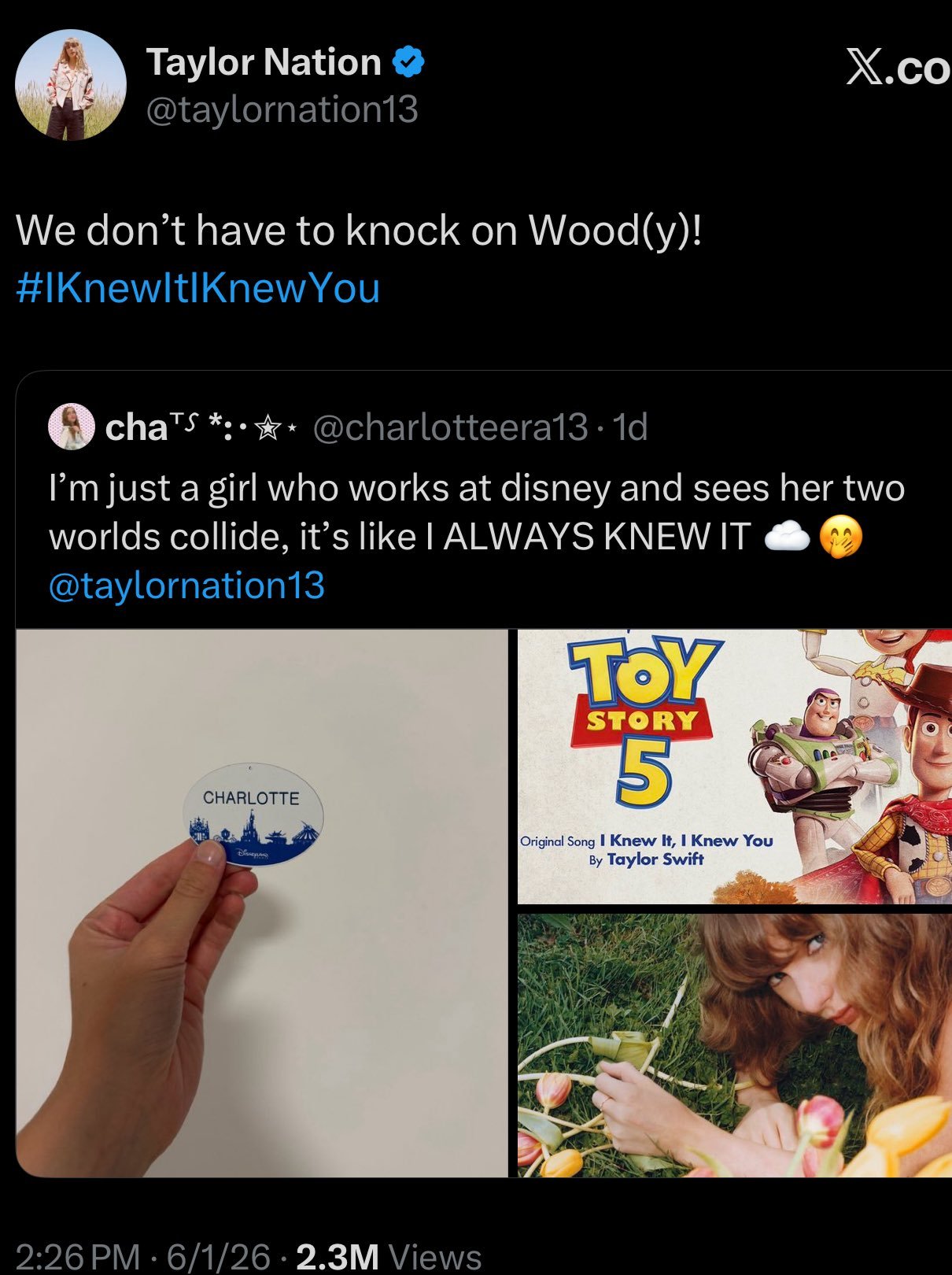 Taylor Nation的这条动态被删除了*有人推测是X上的一些粉丝开玩笑没分