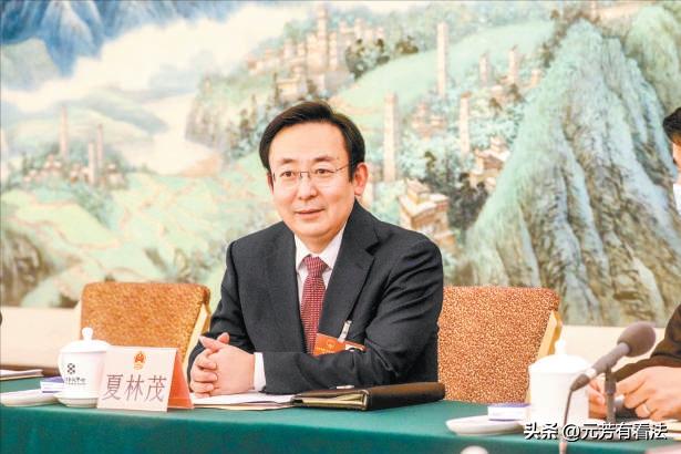 夏的老家是江苏建湖，但他出生于陕西，一直到高考，成长和学习都是在陕西度过，从小学