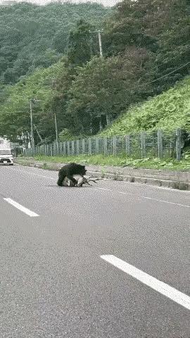 “弱者强食”
