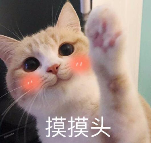 别人上班兼顾爱好与山海，我上班只有报表和无尽内耗，跪求AI早日普及，让我也拥有松
