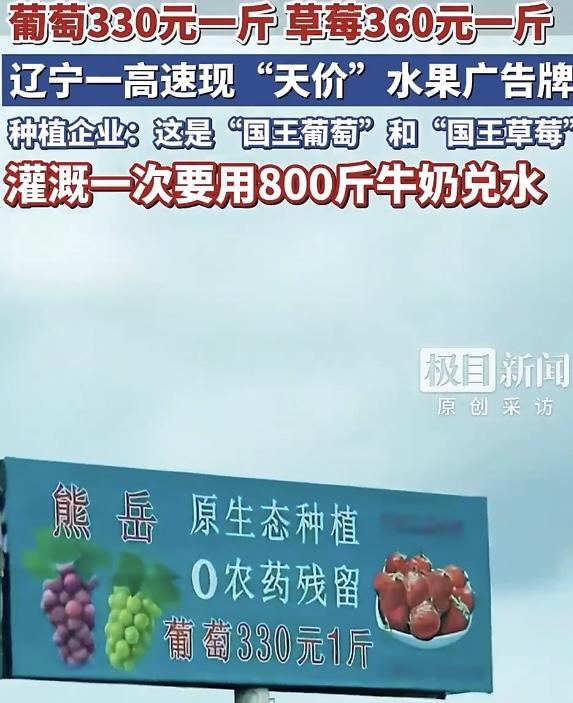 最近辽宁高速上的一块水果广告牌可把网友们炸开了锅——“葡萄330元1斤、草莓36