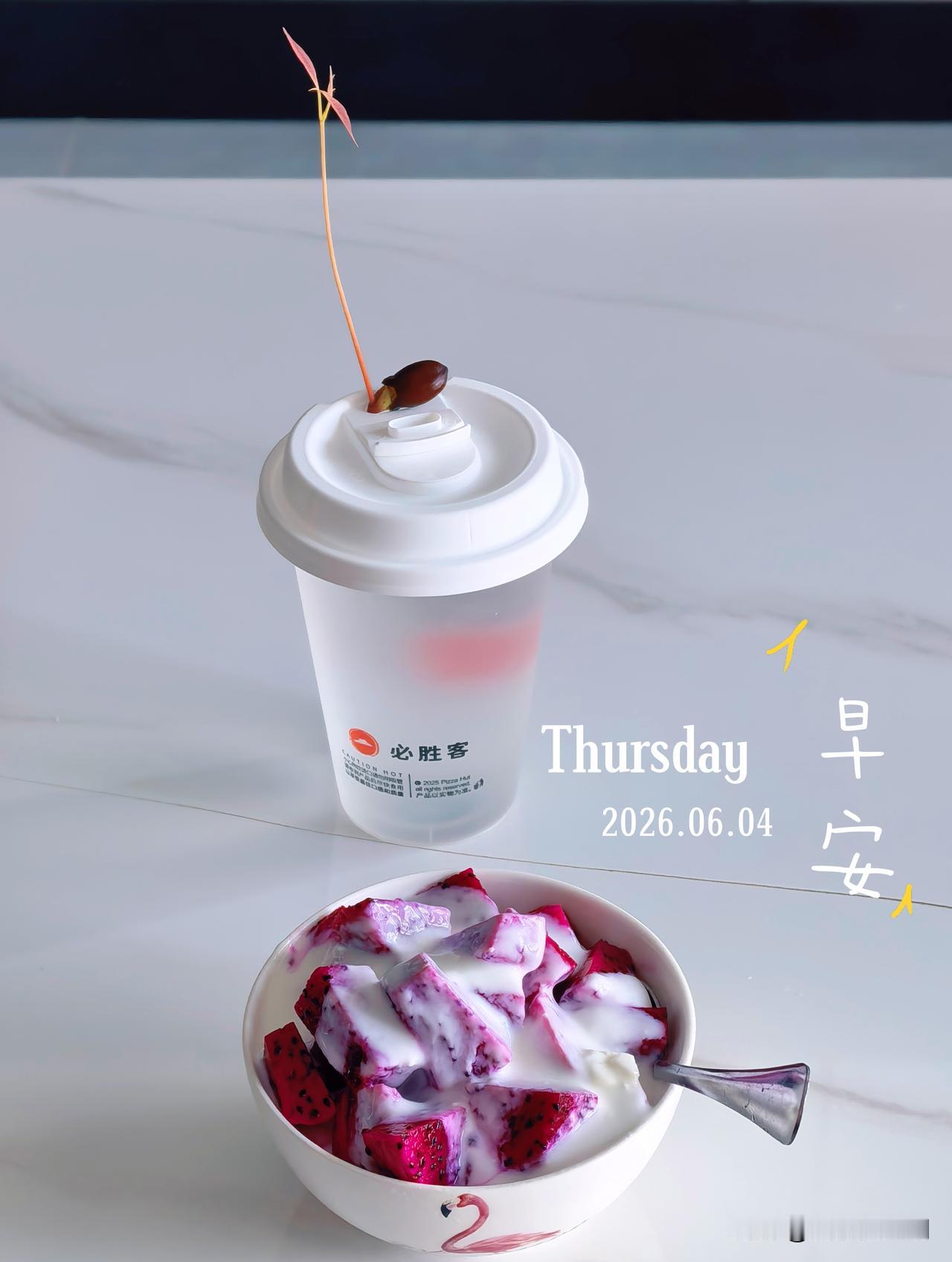 小小果枝别致也清雅，一枝独秀氛围感拉满