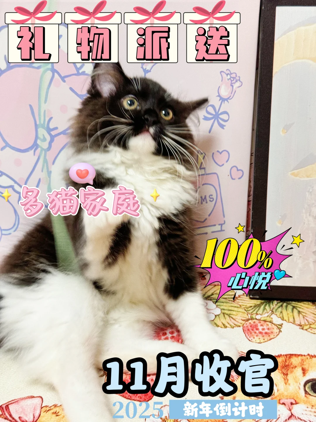 📦11月完美收官啦