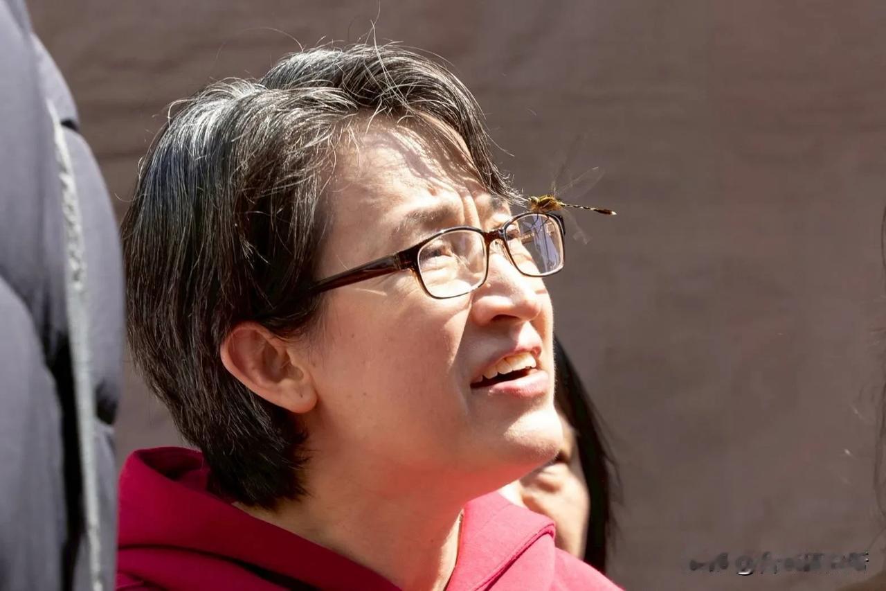 这个“台独”顽固分子大吉？
有望取代赖清德？

萧美琴，在列的“台独”顽固分子