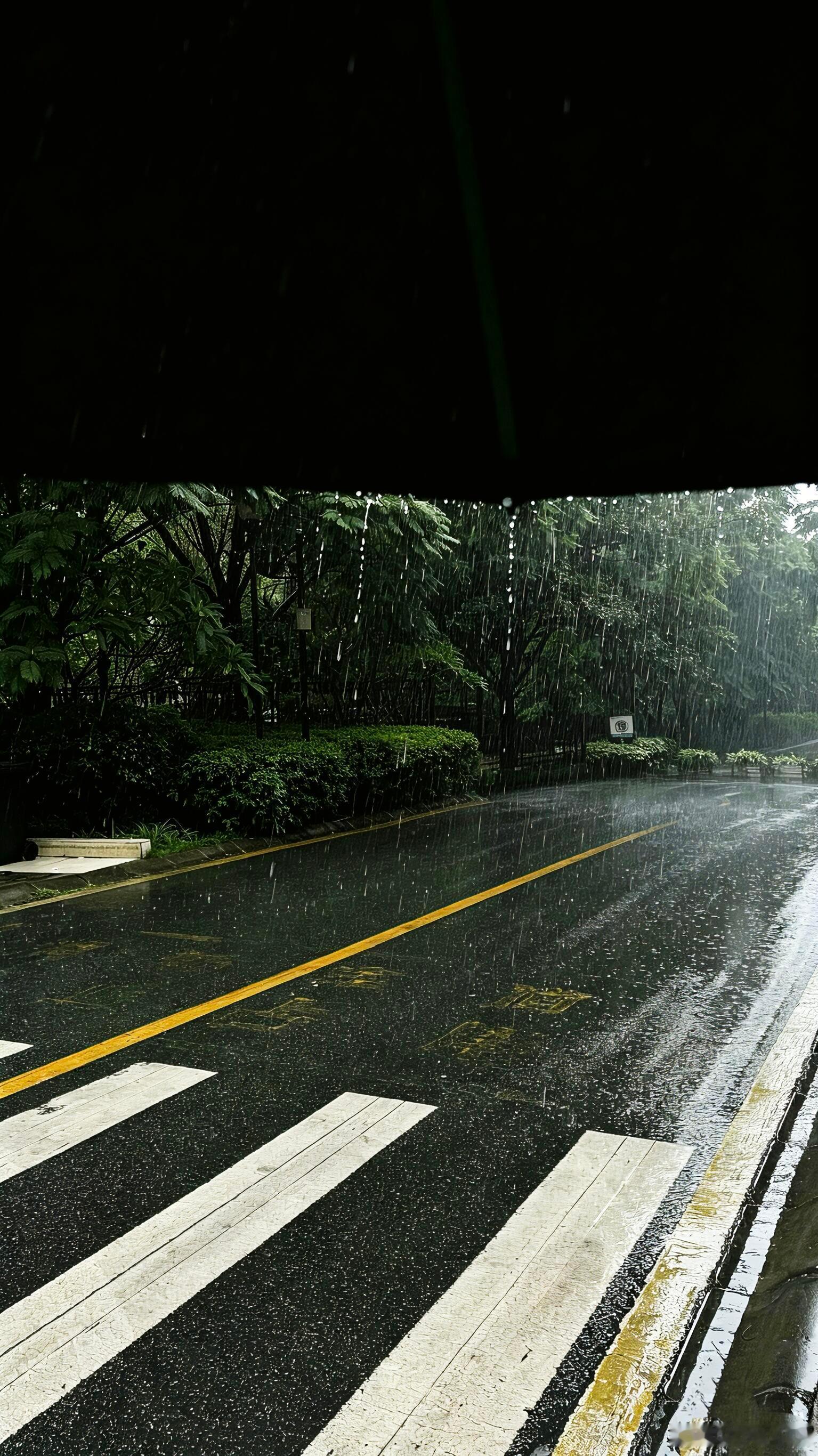 二十岁——人生的梅雨季最近网上很火的一句话：二十岁，是人生的梅雨季。什么是梅雨季