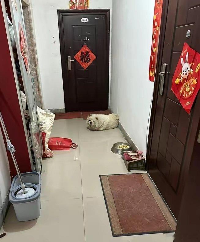 隔壁司机举报出租屋一男三女关系可疑，民警上门发现是外卖大哥睡地铺供三个妹上学，结