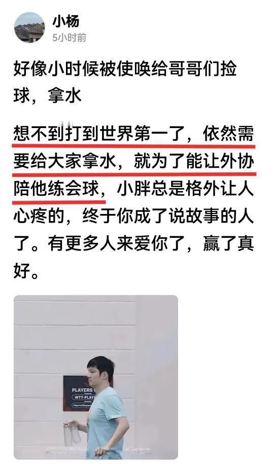 樊振东为人低调，人品好，球技高，作风硬朗，最看不惯乌烟瘴气的饭圈文化，反观有些队