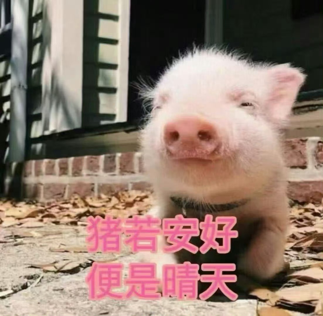 分享图片 