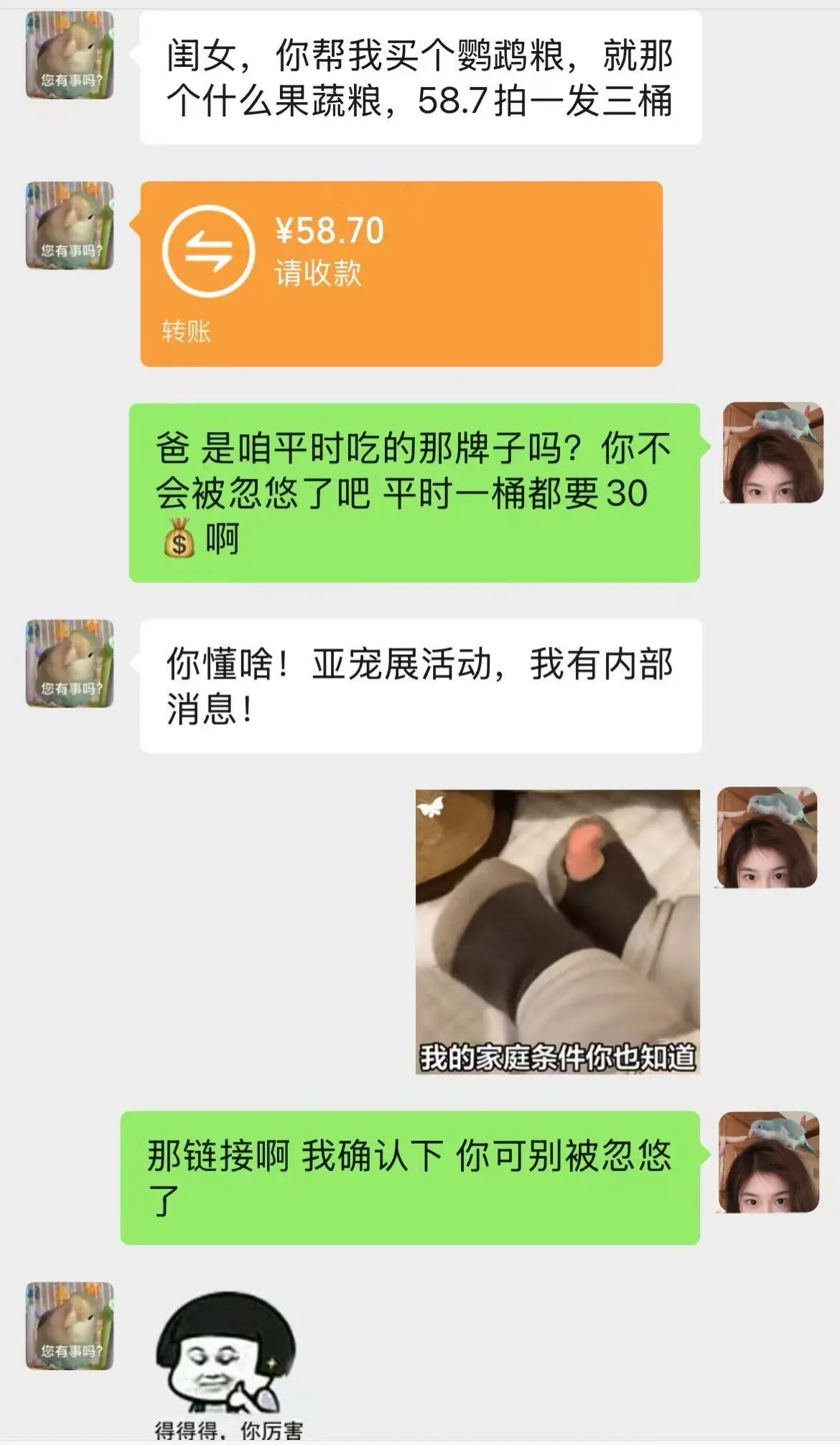亚宠展快结束了！给鸟主子们的粮买了吗。