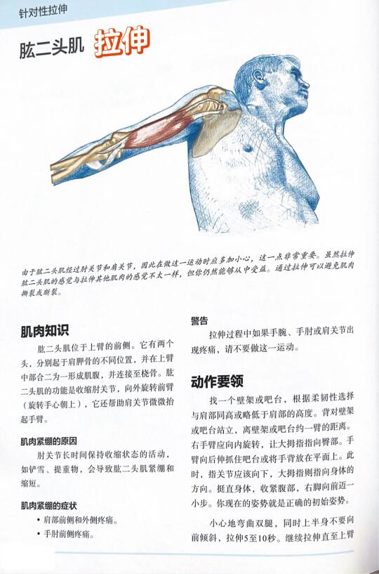 🔥拉伸肱二头肌的正确姿势，告别肩肘疼痛！