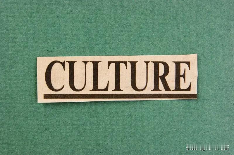 文化对于一个民族而言，那可是灵魂般的存在。它就像一条无形的纽带，把民族的过去、现