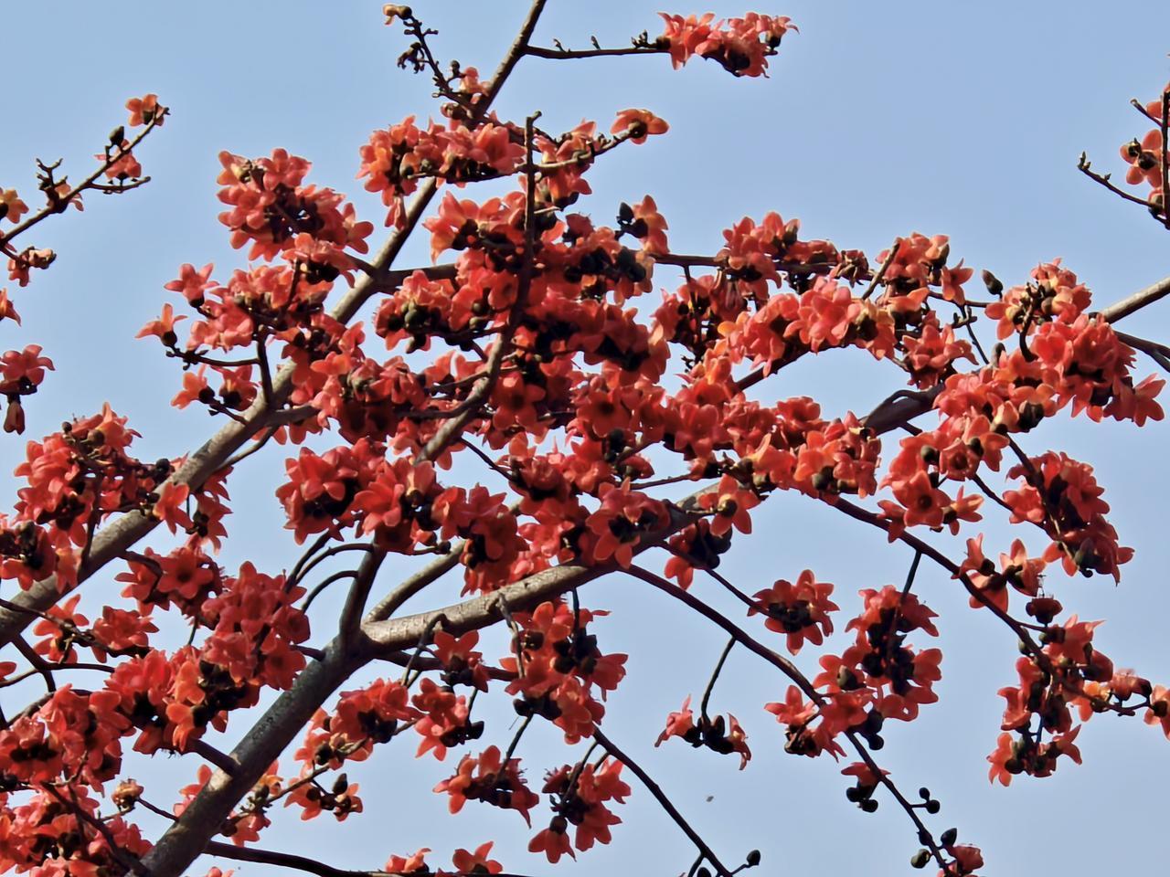 除夕、春节至元宵期间，大多数人几乎天天大鱼大肉。
每逢佳节重几斤？你重了多少？