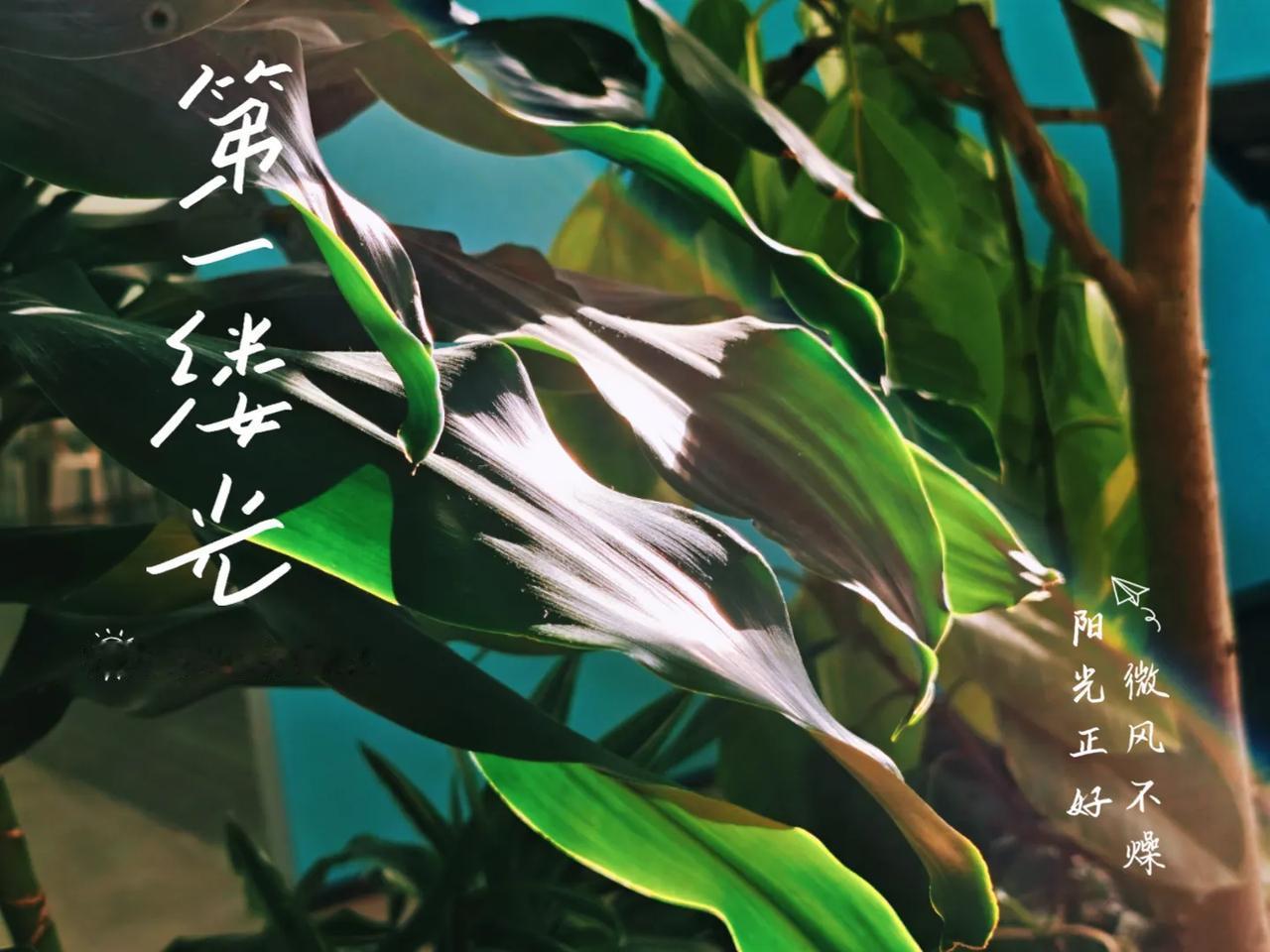 “深渊不是路的尽头，而是光的入口开始收紧的地方。”