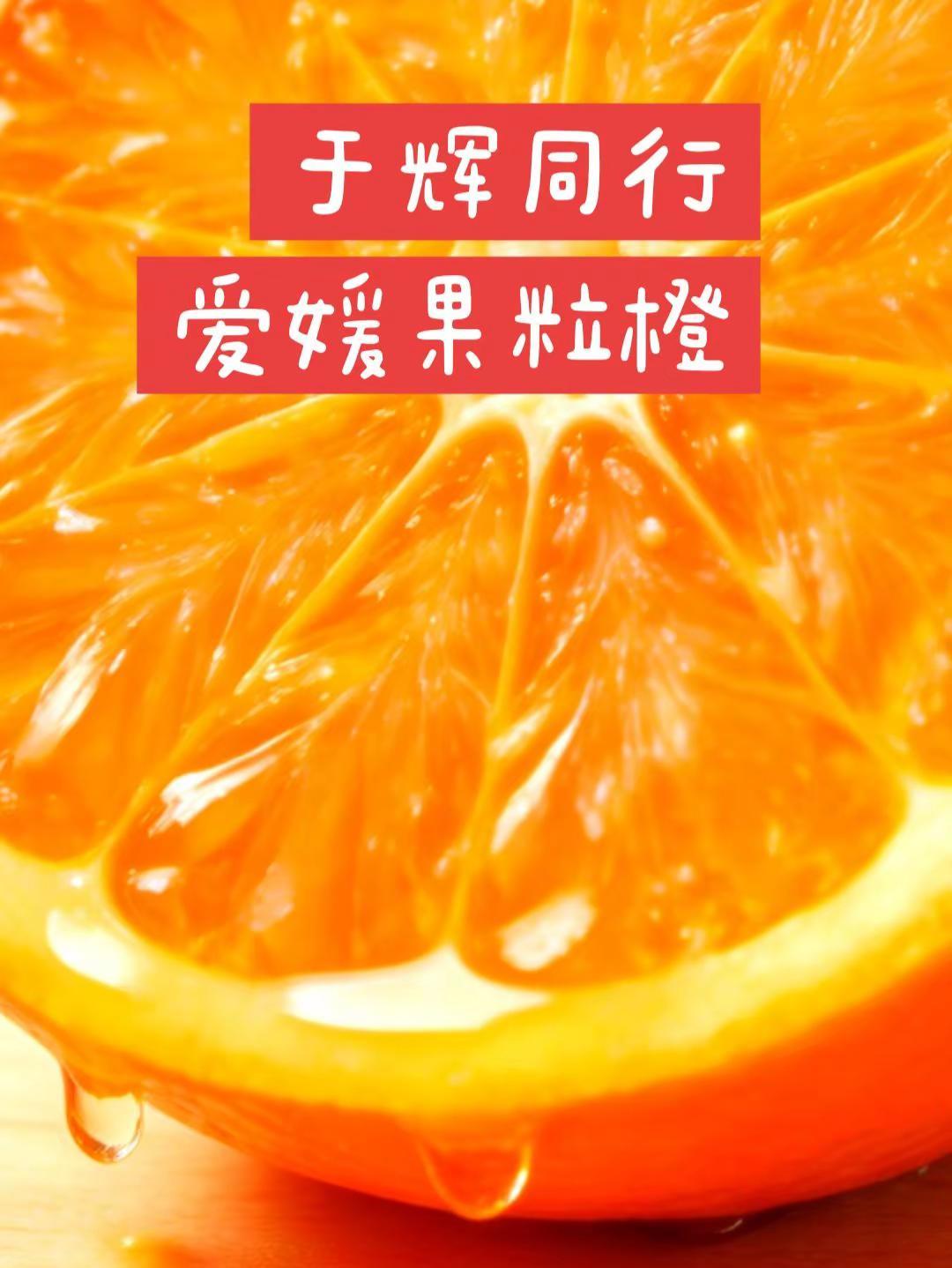 宇辉同行爱媛果冻橙宇辉同行