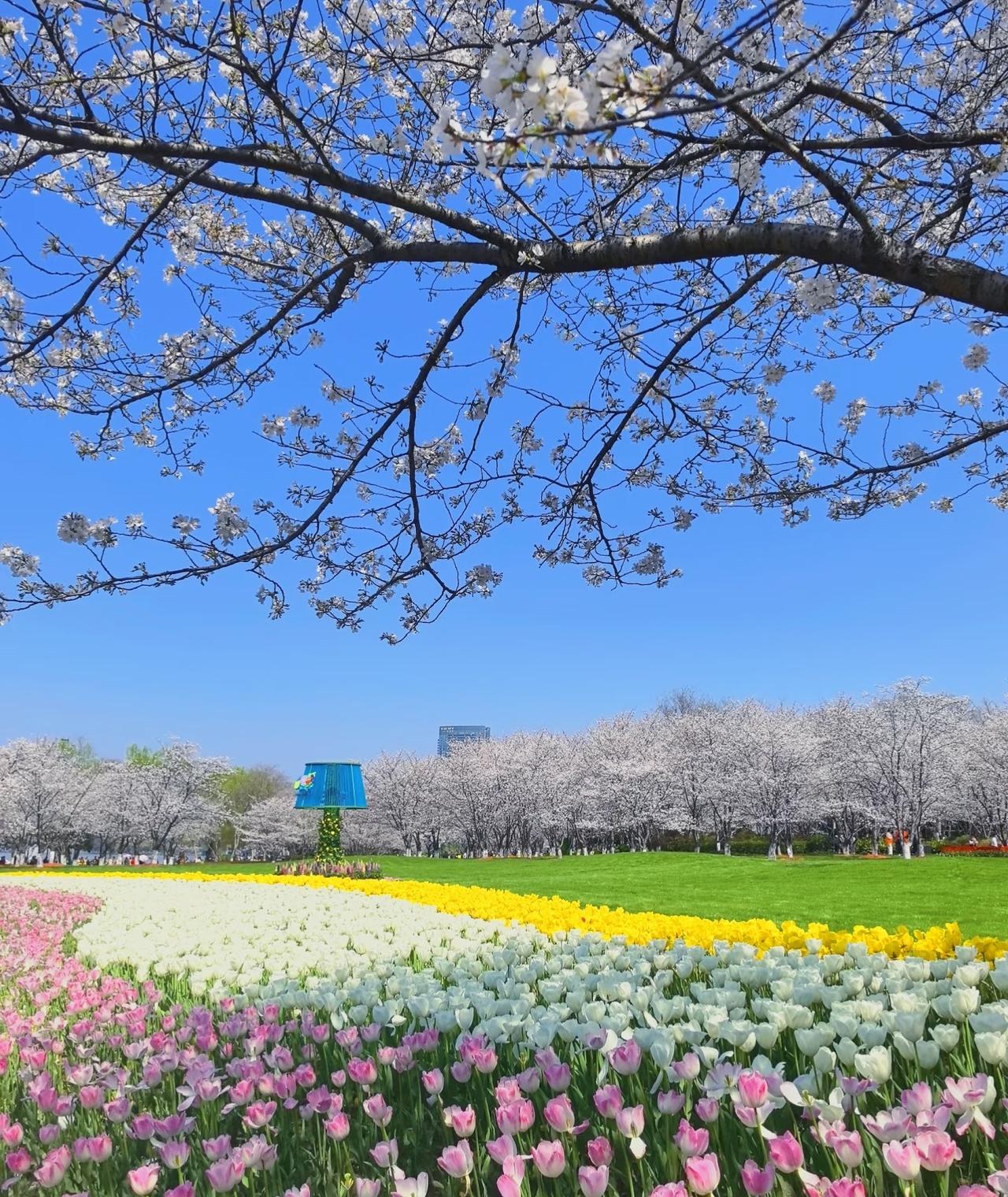 昨天去医院拿药，人比往常要多很多。

站在走廊里，仿佛看到了他们的生活，每个人都