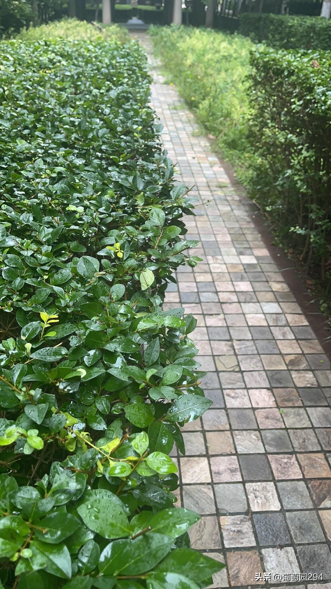 俄乌战争到了一个新的概念……普京说西方正搅动俄的政局……意思是搞颜色革命……
打