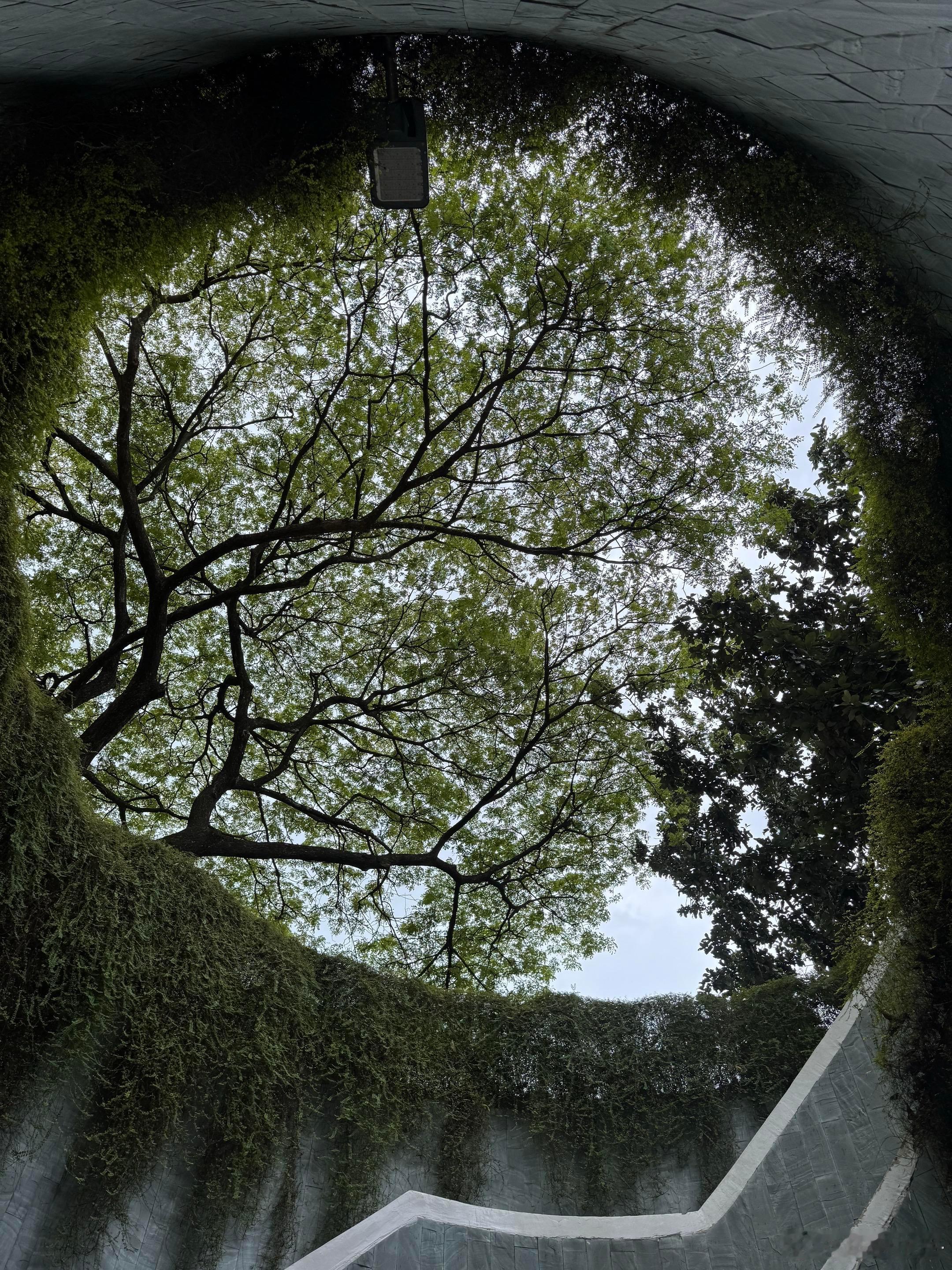 最近很喜欢的一句话：“当智商和情商都高时颜值就是个赠品，当灵魂有了深度美貌只是附