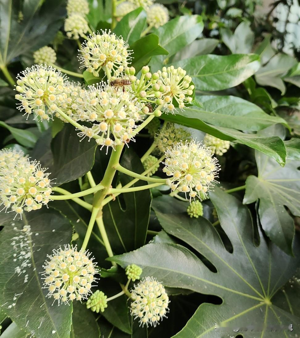 说实话，“打发时间”这词儿在我这儿压根没市场——我天天都在跟时间赛跑，哪儿有空闲