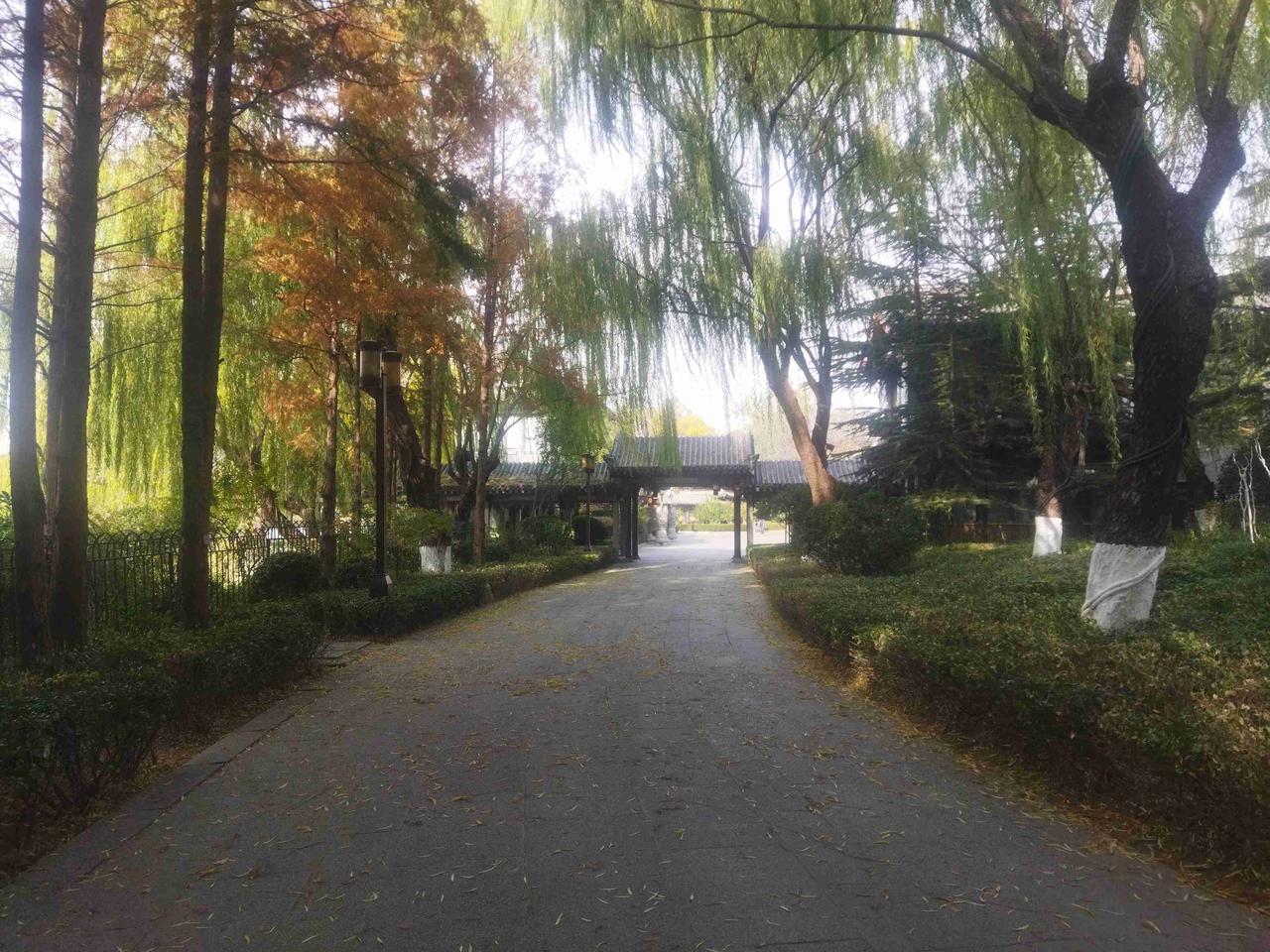 我的今日状态：😁轻松愉快
我这里的天气：☀️晴天