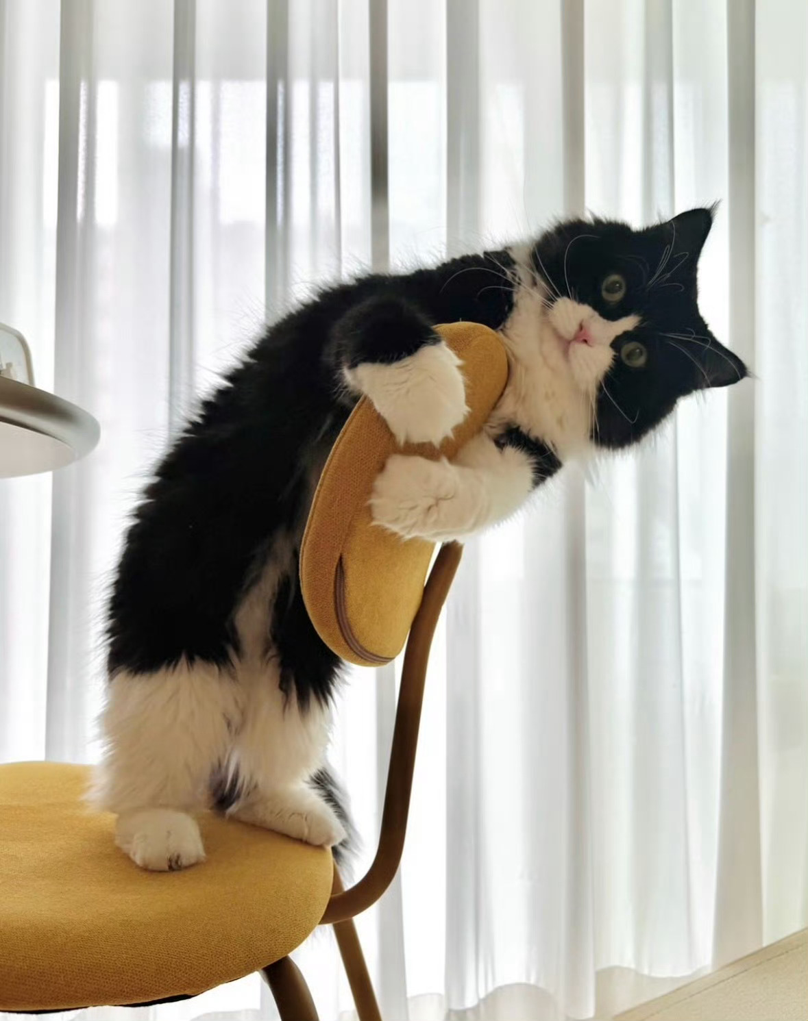 上帝让我忏悔。可上帝却迷失了方向