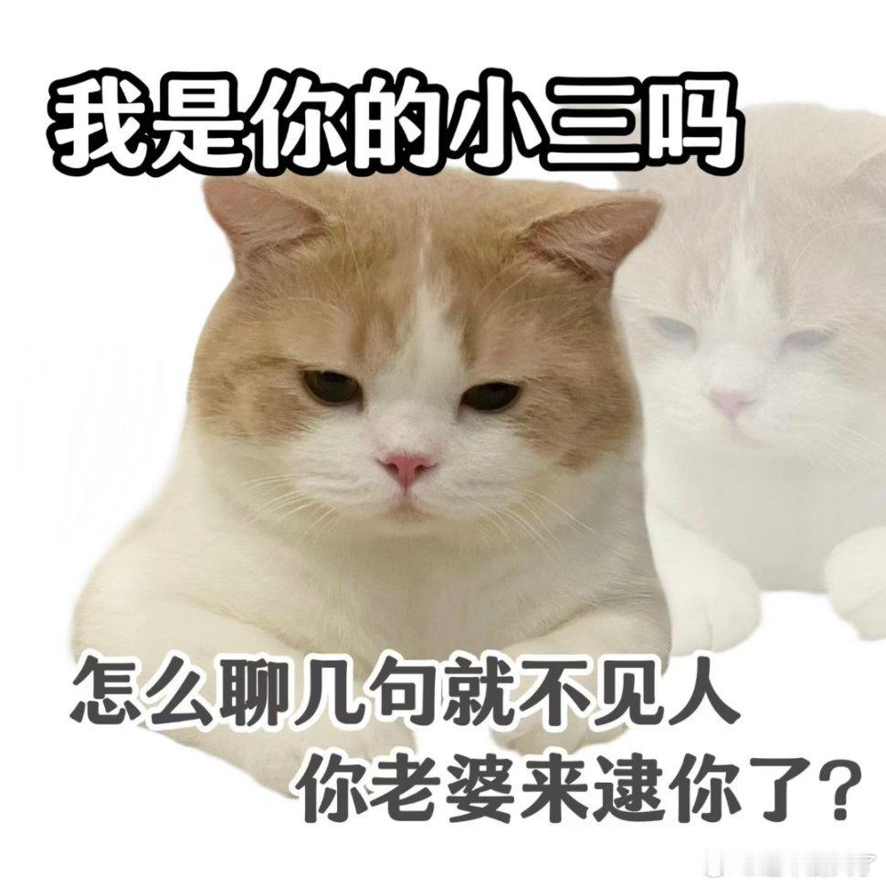 分享表情包。 